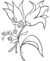 Valentine Day flowers